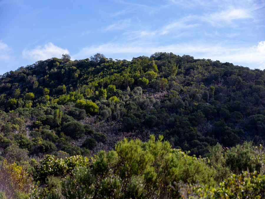 0 Bedroom Property for Sale in Pezula Private Estate Western Cape